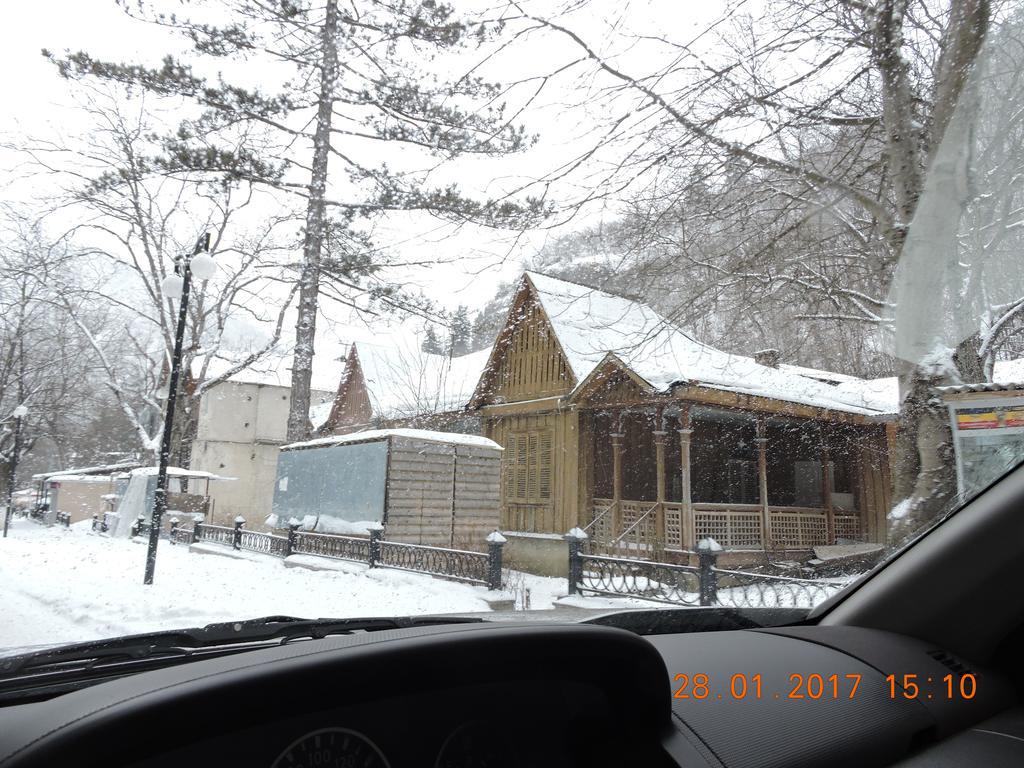 Borjomi Central Park Apartment Zewnętrze zdjęcie